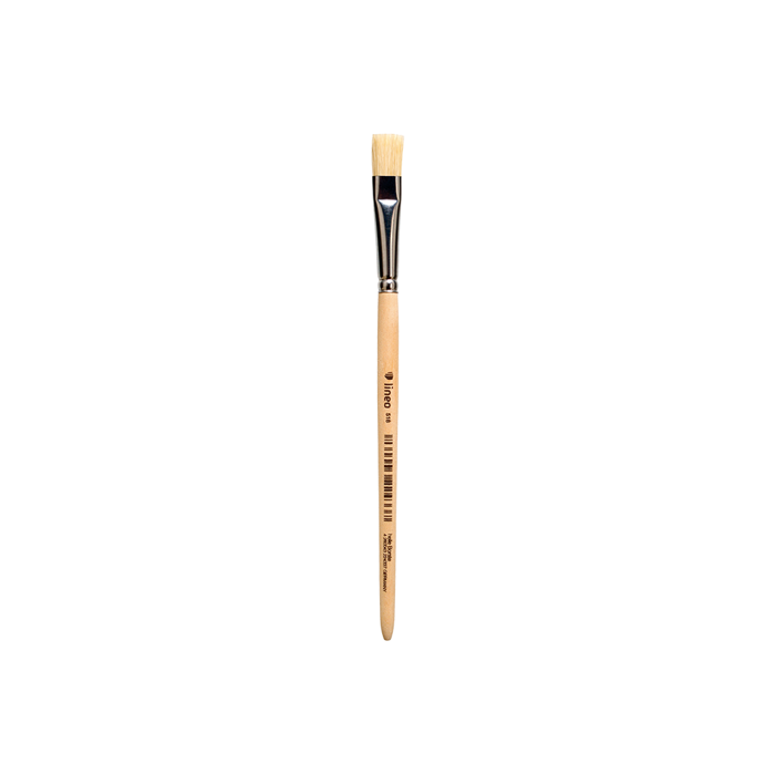 LINEO PINELO PLAKE SCHOOL No6