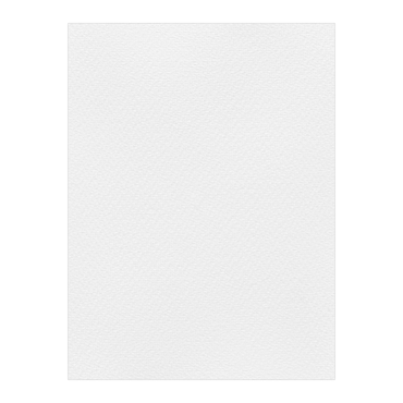 FAVINI ΧΑΡΤΟΝΙ 50Χ70 ΛΕΥΚΟ Νο3