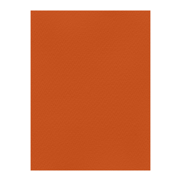 FAVINI ΧΑΡΤΟΝΙ 50Χ70  ΠΟΡΤΟΚΑΛΙ Νο9