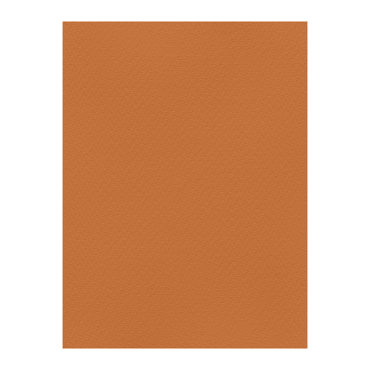 FAVINI ΧΑΡΤΟΝΙ 50Χ70 TABACCO Νο12