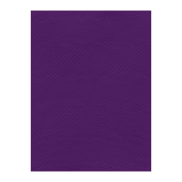 FAVINI ΧΑΡΤΟΝΙ 50Χ70 ΒΙΟΛΕΤΙ Νο19