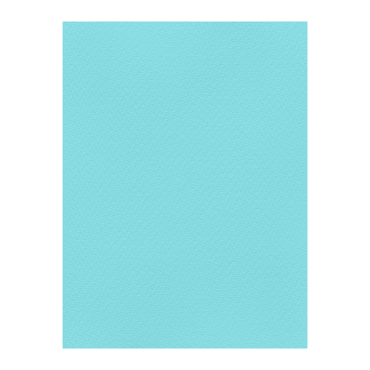 FAVINI ΧΑΡΤΟΝΙ 50Χ70 ΤΥΡΚΟΥΑΖ Νο22