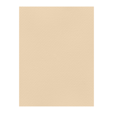 FAVINI ΧΑΡΤΟΝΙ 50Χ70  ΡΟΖ ΣΟΛΩΜΟΥ Νο25